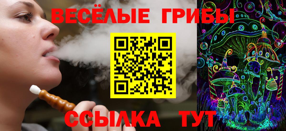 Калининград  Галлюциногенные грибы прущие грибы  Вход с VPN 