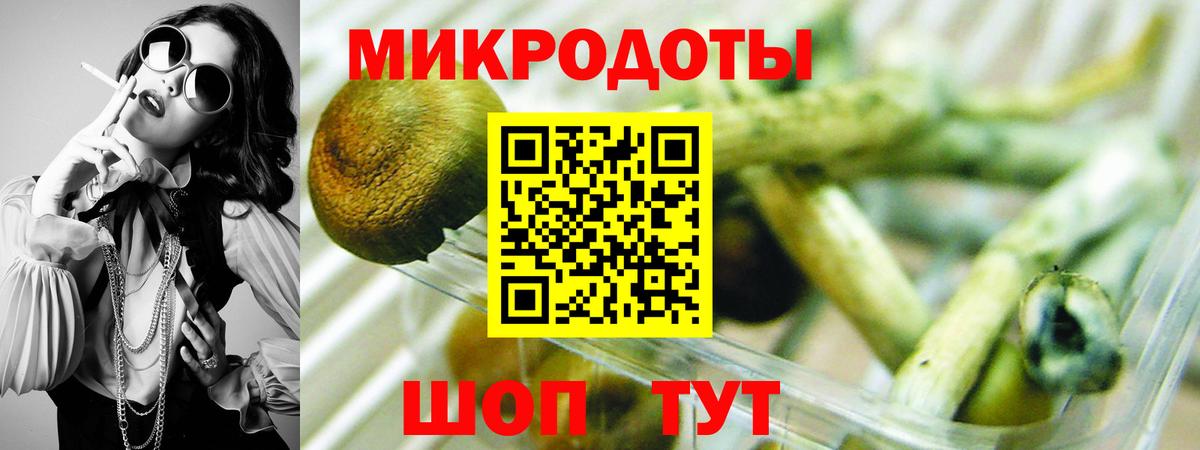 Псилоцибиновые грибы MAGIC MUSHROOMS Калининград